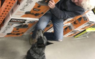 RIGID Wet / Dry Vacuum