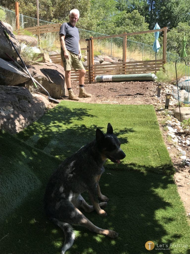 Installed artificial grass